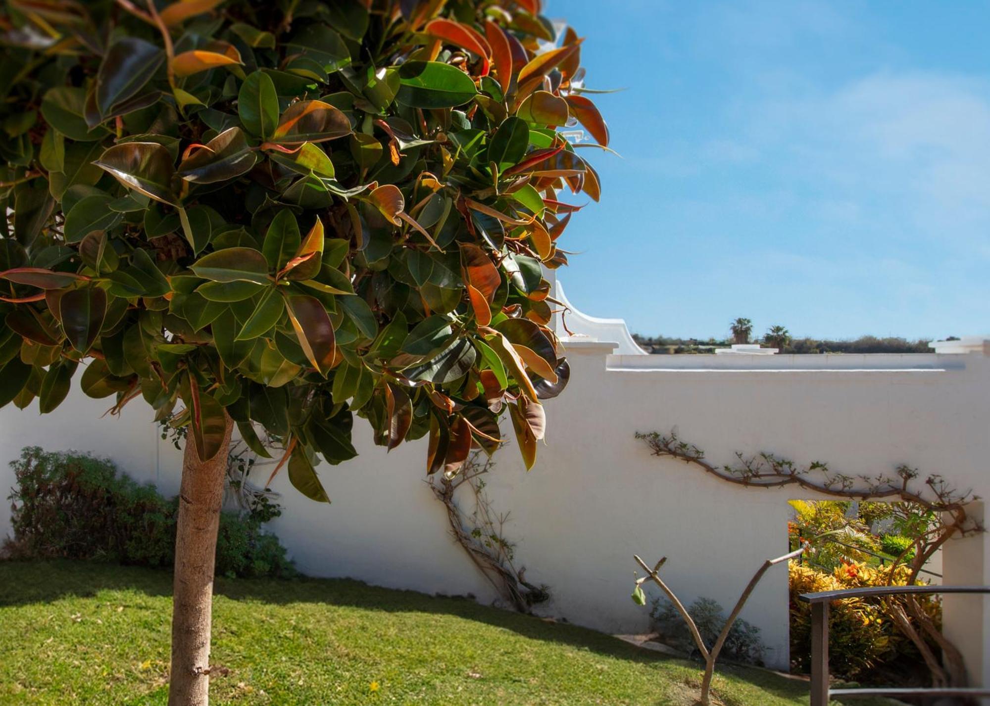 Oasis De Capistrano, Calle Palmas 24 B Nerja